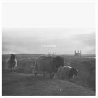 Touching Grace – Sofa Sessions