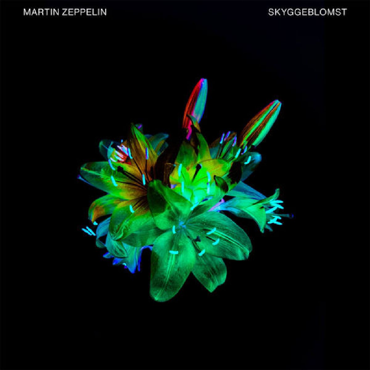 Martin Zeppelin