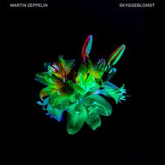 Martin Zeppelin