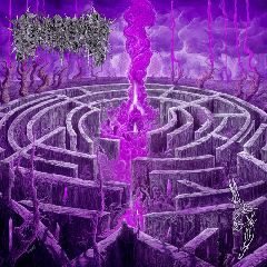 Civerous