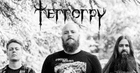 Temple of Doom: TERRORPY + support