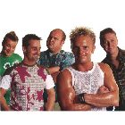 Spar2- 40 års jubilæumstour
