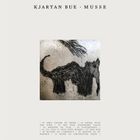 Kjartan Bue