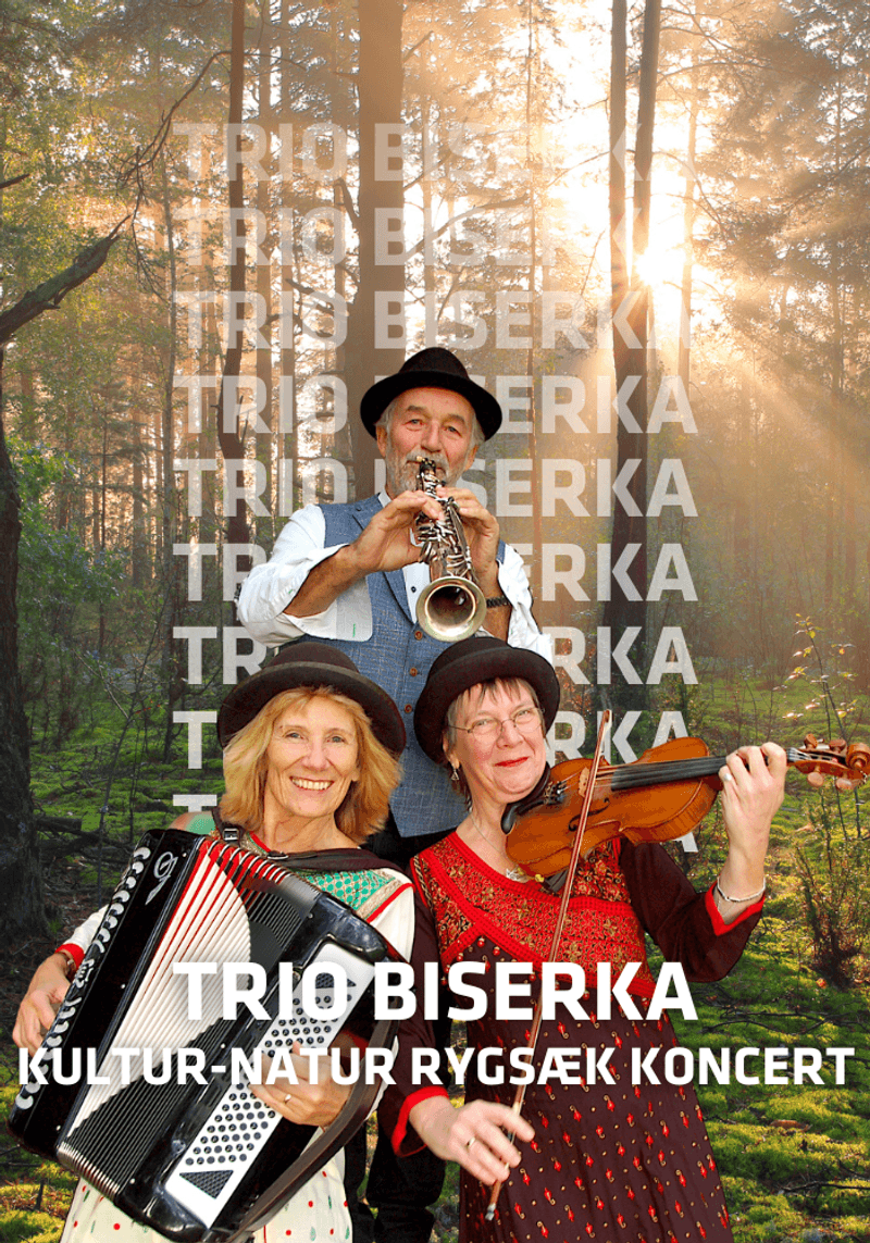 Trio Biserka koncert