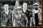 THE BLUES OVERDRIVE