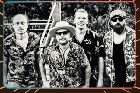 THE BLUES OVERDRIVE