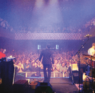 Peter Sommer Musikfilm