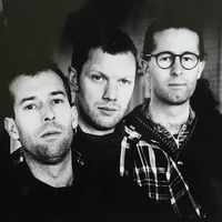 Nice Little Penguins