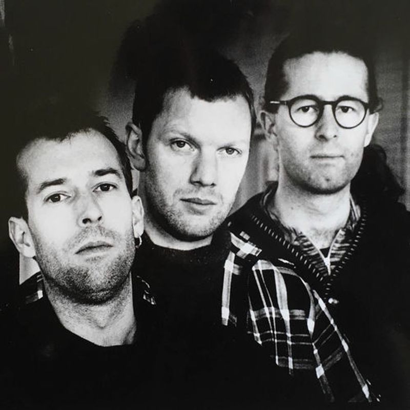 Nice Little Penguins