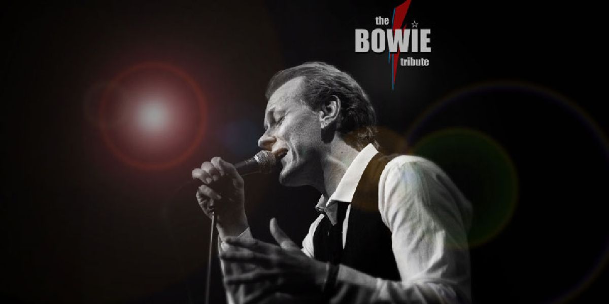 the BOWIE tribute