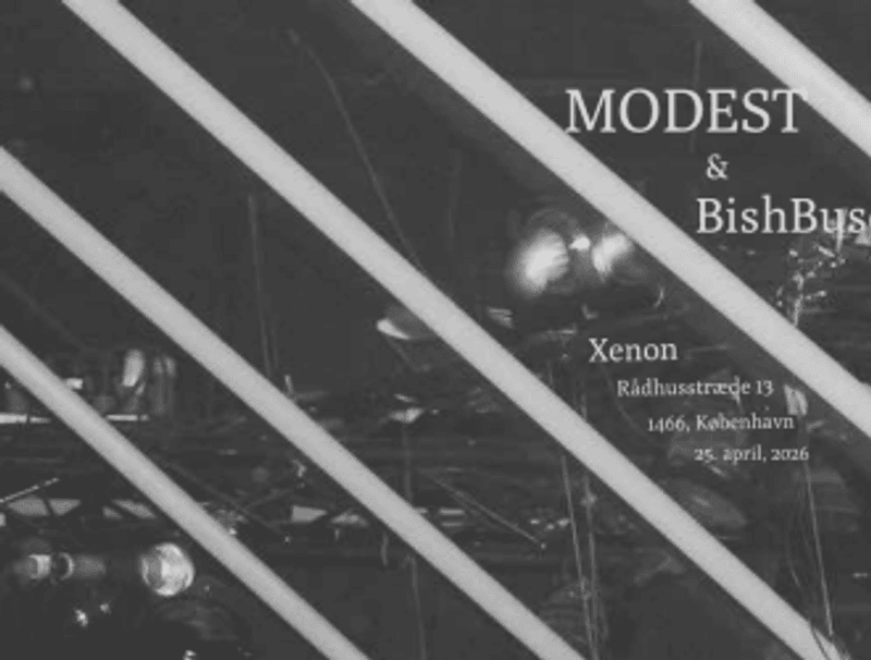MODEST & BishBusch