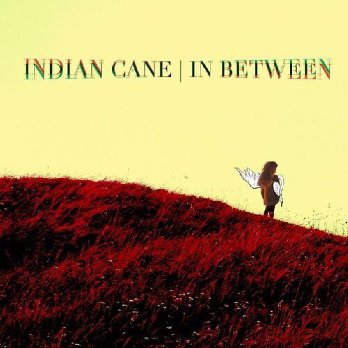 Aint Out Of The Woods yet, // Indian Cane //
