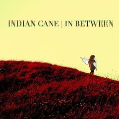 Indian Cane