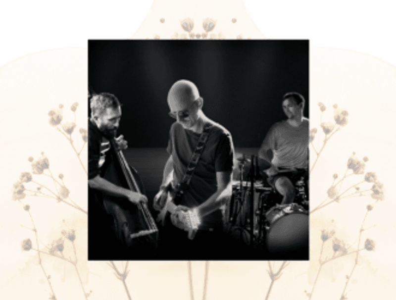 Peter Tinning Trio | CPH Jazz Festival