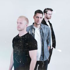 The Doves