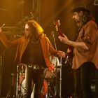 The Doors Alive (UK)