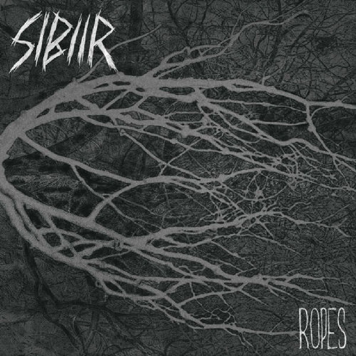 SIBIIR (NO) + GRAVA + Offernat