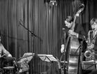 Paradise Jazz: Bévort 3