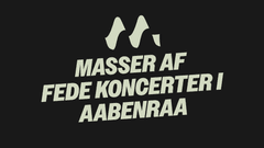 Aabenraa Live