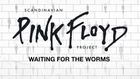 Pink Floyd Project