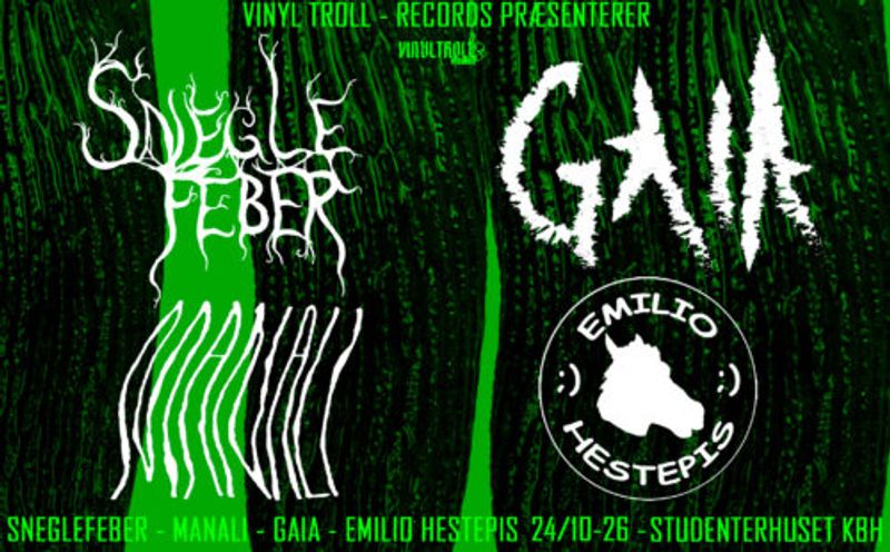 En tung aften med Vinyltroll - records venner