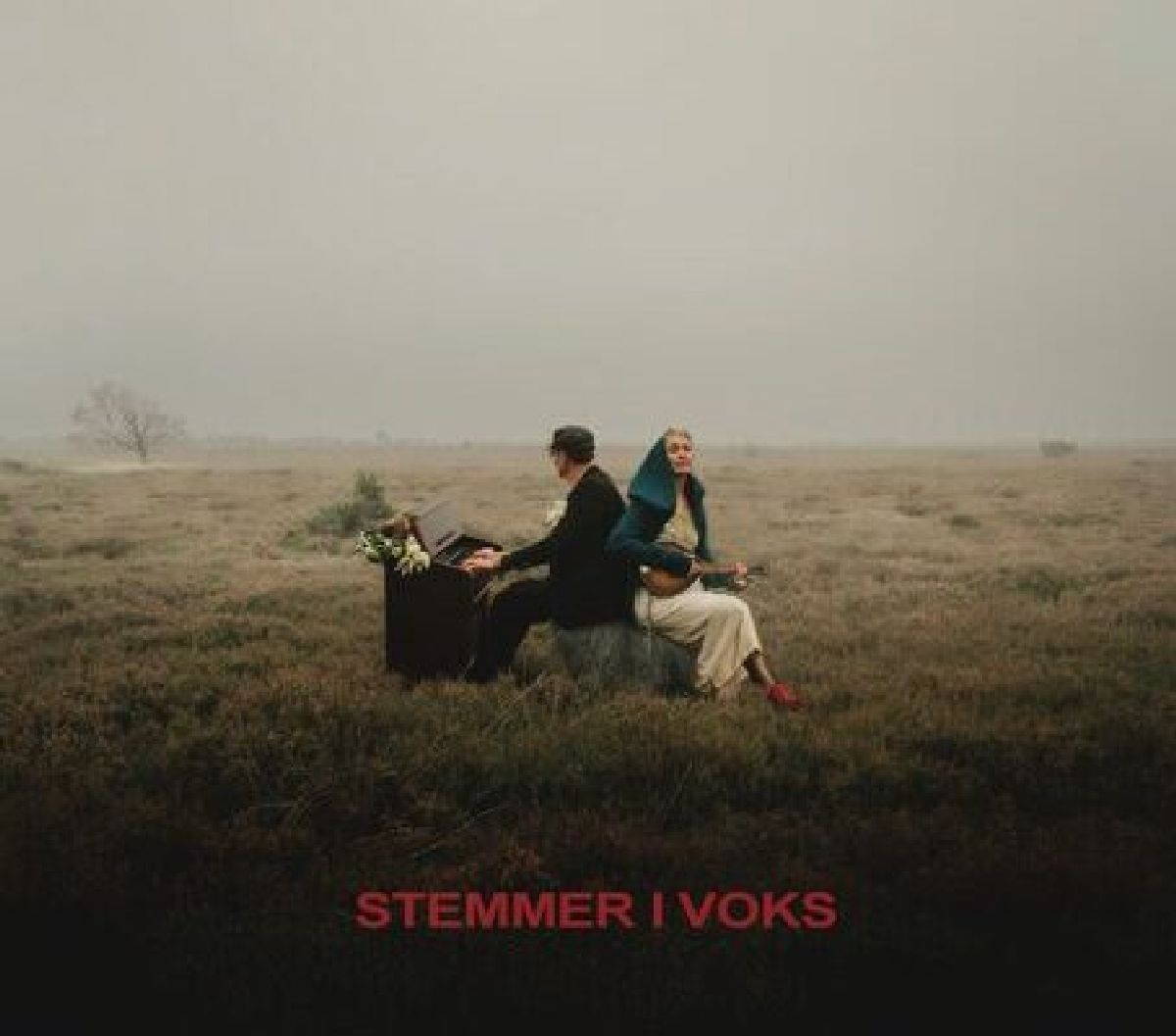 Stemmer i voks