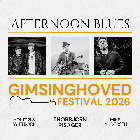 Gimsinghoved Festival 2026