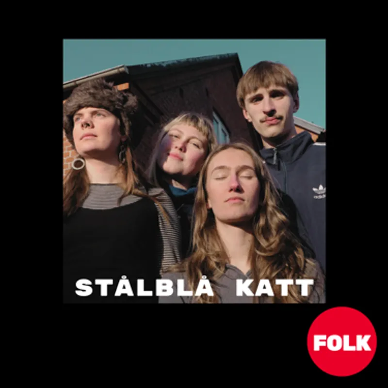 Koncert på FOLK: Ungt svensk folkemusikorkester på turné