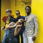 The Brand New Heavies (UK)