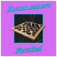 Sauna Senere