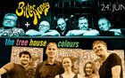 Rock Concert - Bitter Honey + Tree House Colours + Synesthesia