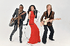 The Brand New Heavies