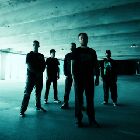 Stick To Your Guns
