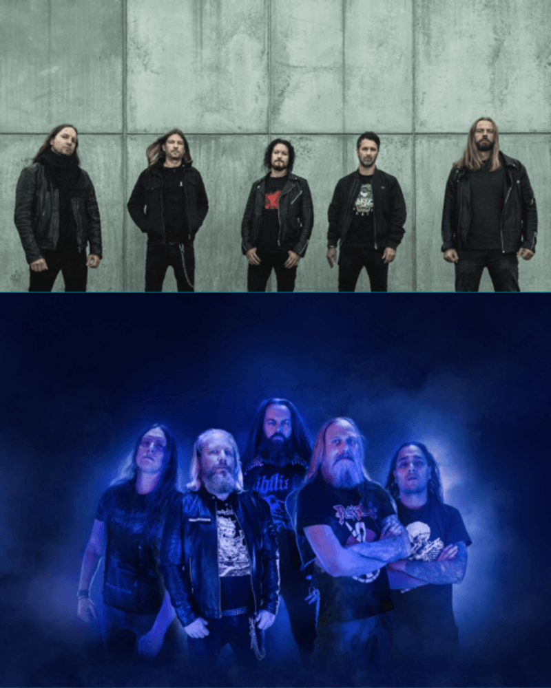 Illdisposed & Maceration