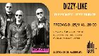 Dizzy-Like