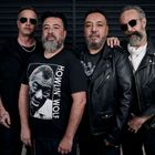 Molotov & Mala Rodriguez