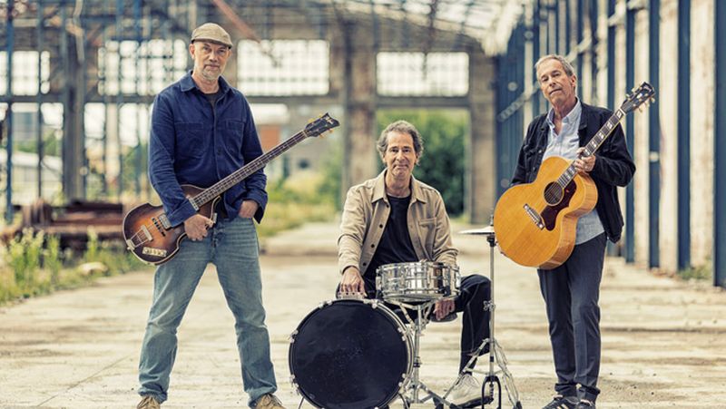 Nice Little Penguins