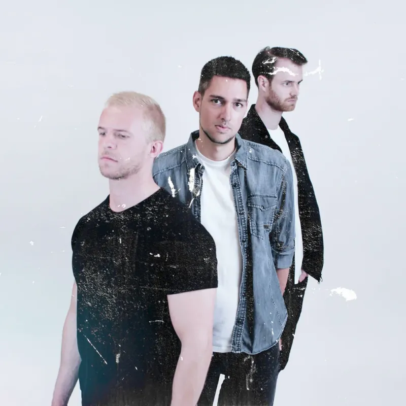 The Doves