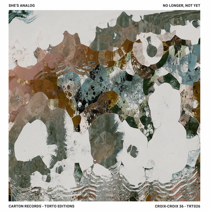 She's Analog + Presencia