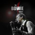 The BOWIE Tribute