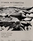 Susanna Briones + Great gestures + Saltmother