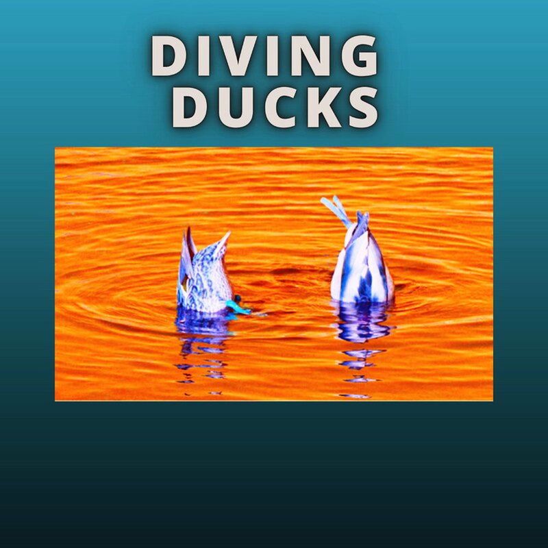 Diving Ducks på Café Støj