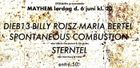 DIEB13-BILLY ROISZ-MARIA BERTEL + SPONTANEOUS COMBUSTION + aka Håkon Garpestad &amp; Ola Rubin + STERNTEL + aka Sternberg &amp; Teller