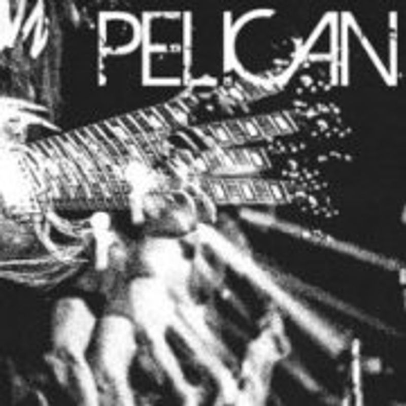 Pelican (US)