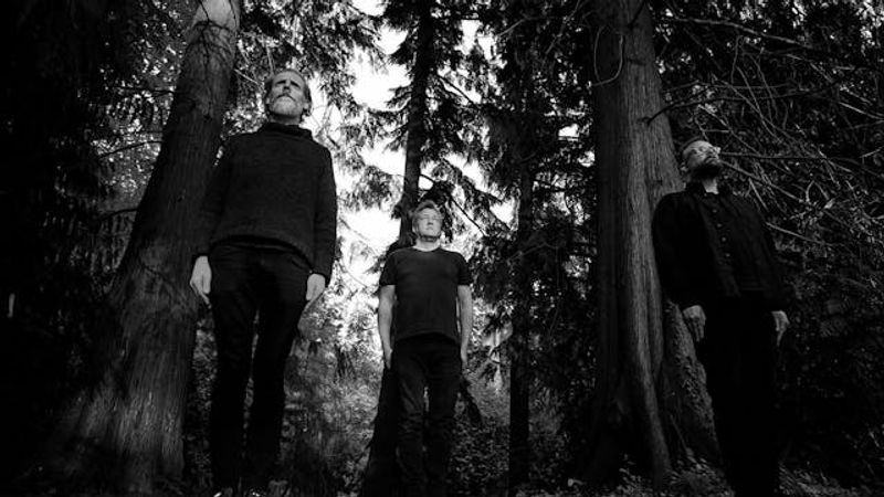 Brunsten + Rådne Lunger