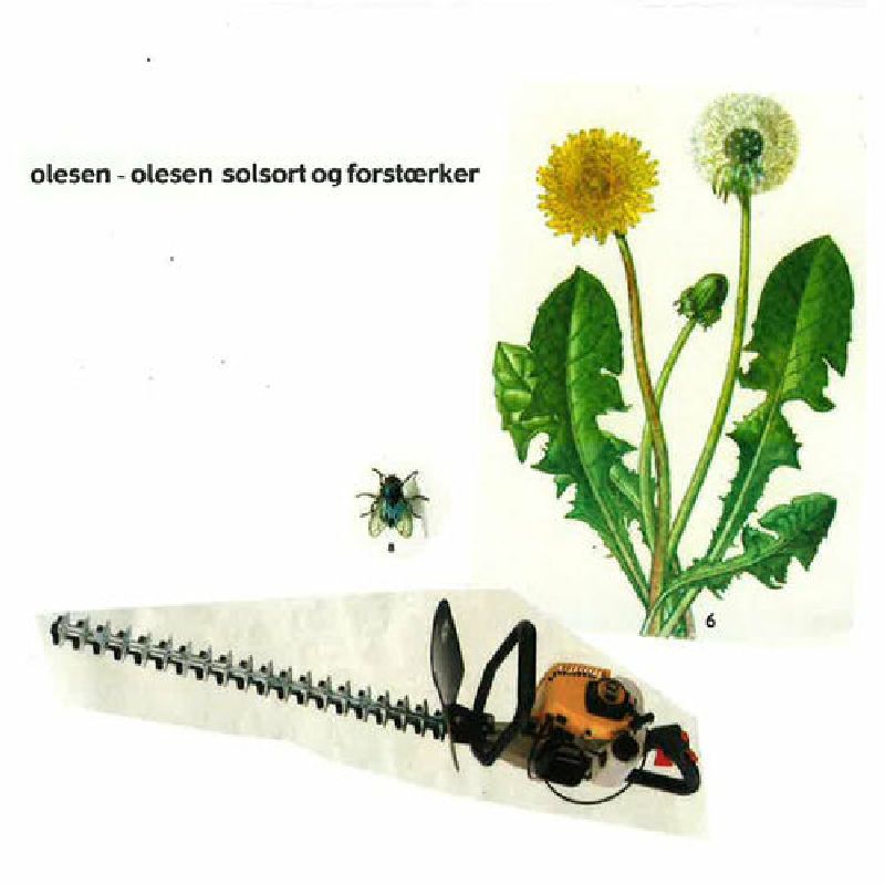 Olesen-Olesen