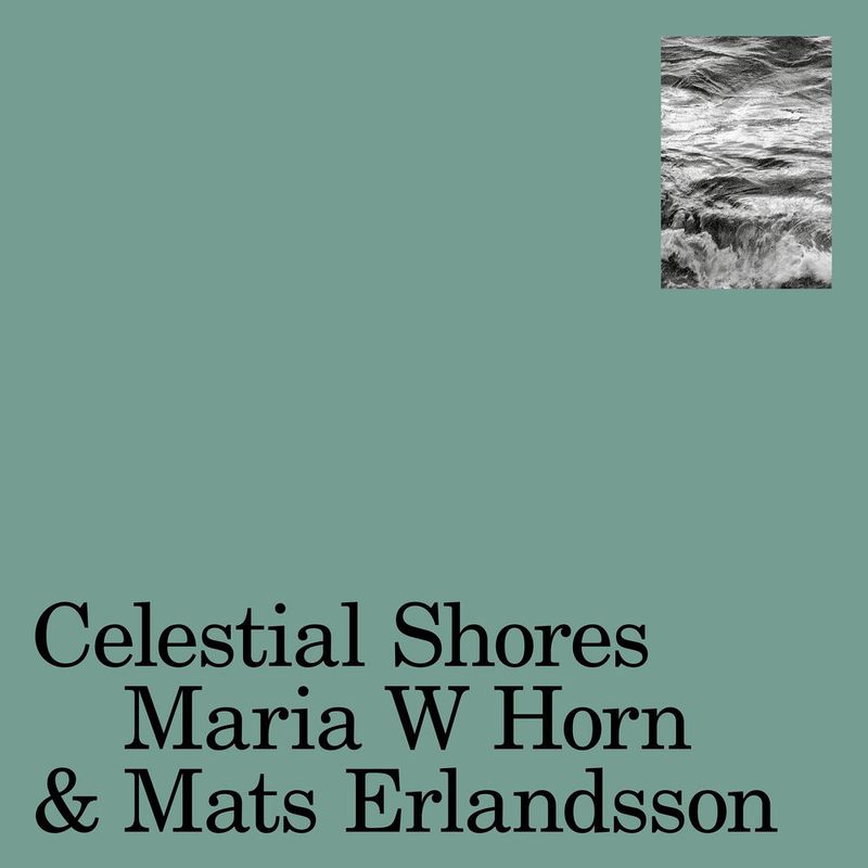 Maria W Horn