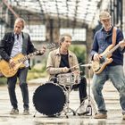 Nice Little Penguins