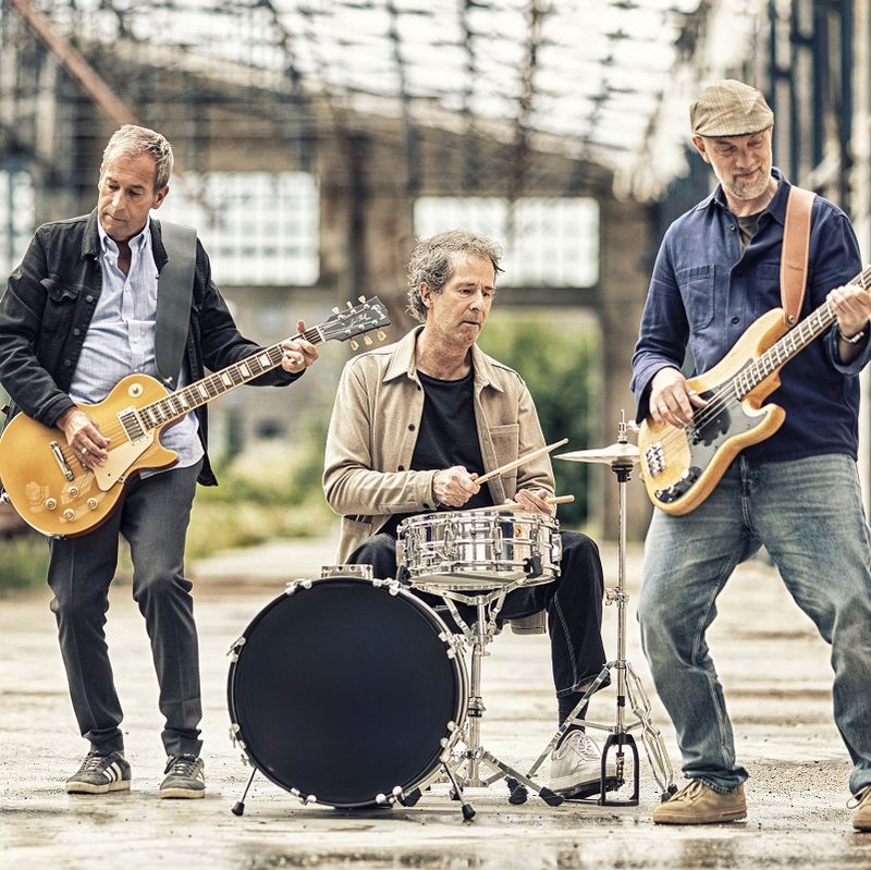 Nice Little Penguins