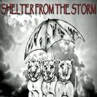 Shelter From The Storm